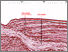 [thumbnail of Seismic_line_P74-45.jpg]