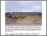 [thumbnail of LenaDelta_landform_documentation.pdf]